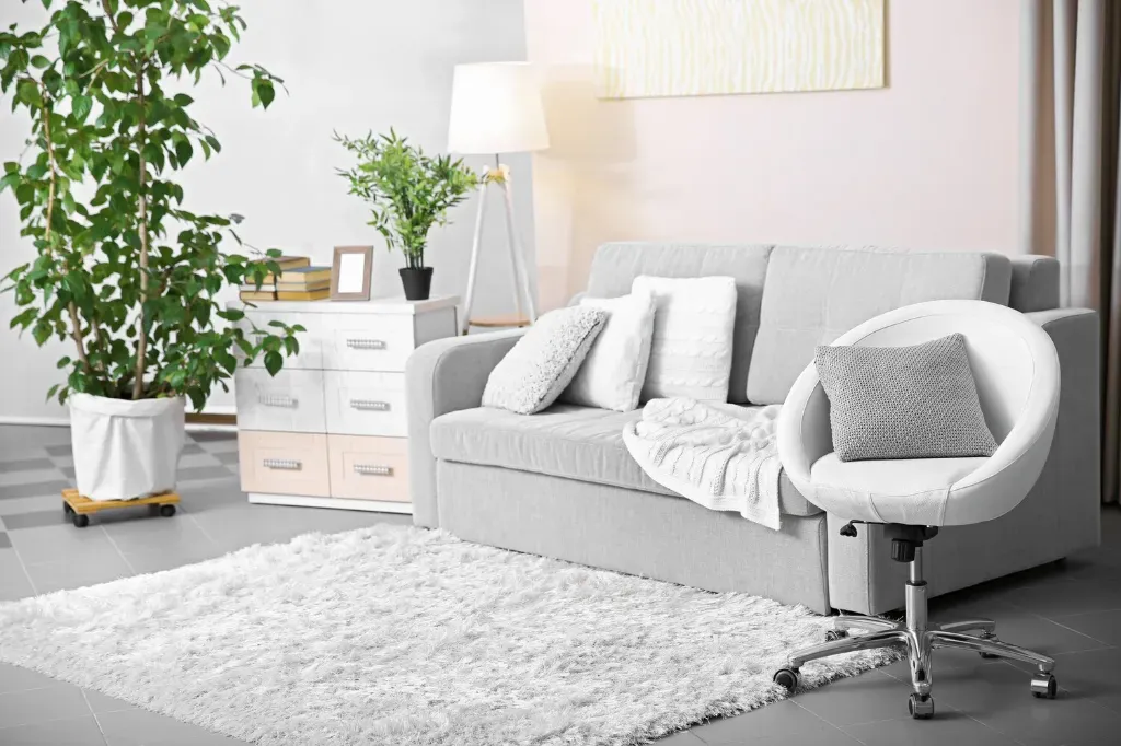 Jaki dywan do salonu wybrać